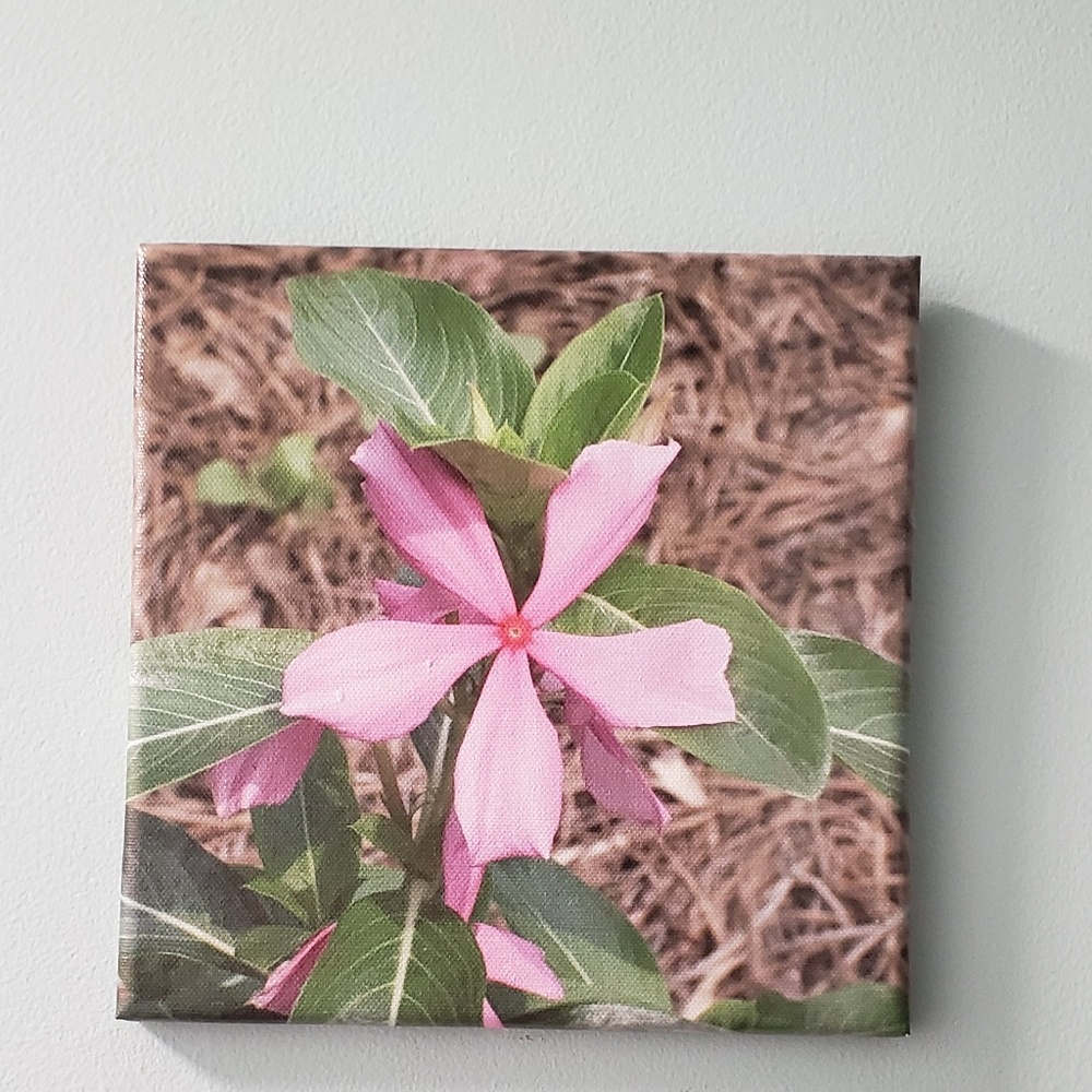 Flower photo printed on canvas